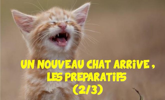 vetement premiere rencontre
