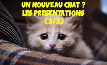 comment reagir apres une premiere rencontre
