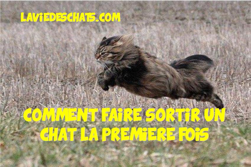 sortir seul pour faire des rencontres
