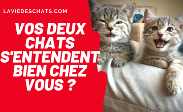 Homme gay francais Homme gay francais