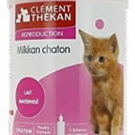 lait maternisé pour chaton abandonné