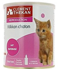 lait maternisé pour un chaton abandonné sur laVieDesChats.com