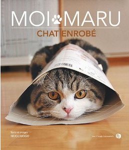 moi maru chat enrobé sur laVieDesChats.com