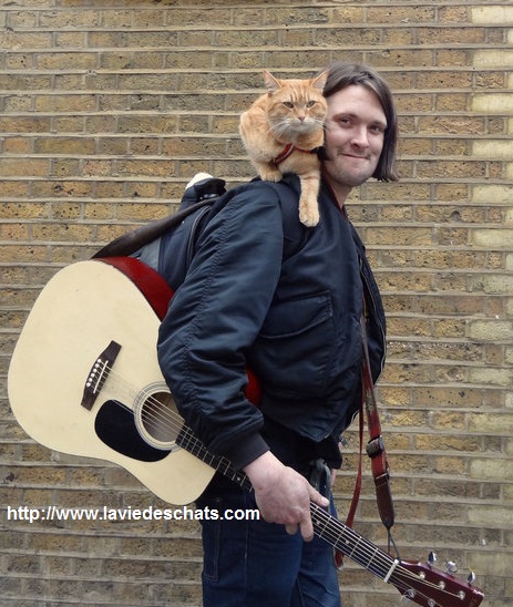 James et Bob the cat sur laVieDesChats.com 2