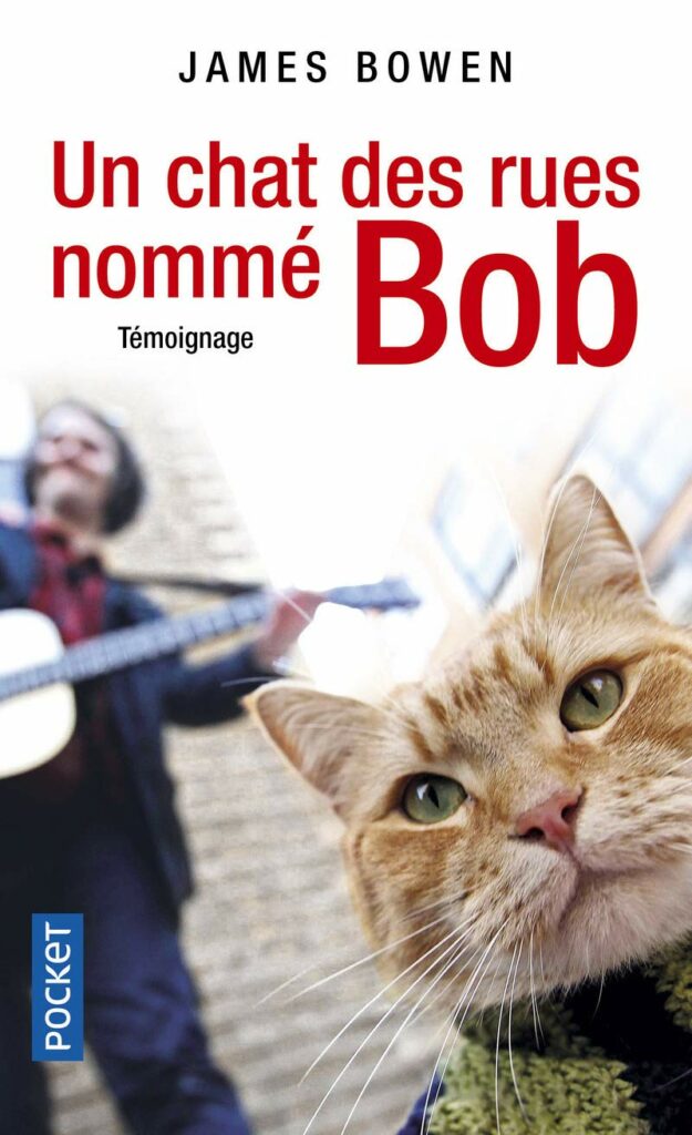 livre un chat des rues nommé bob