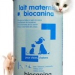 lait maternisé biocanina chaton 400g sur laVieDesChats.com