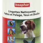 lingettes pour chat sur laVieDesChats.com