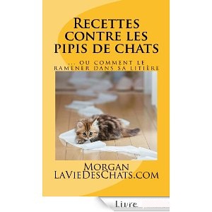 recettes contre les pipis de chats sur laVieDesChats.com