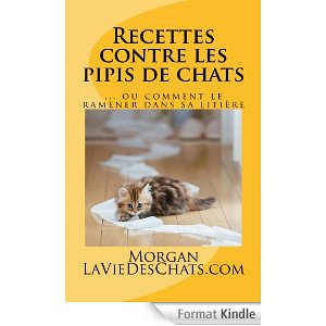 recettes contre les pipis de chats sur laVieDesChats.com