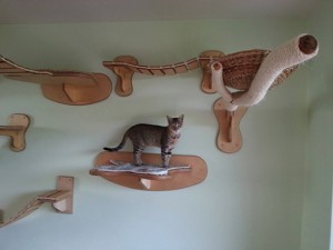 etageres pour chats sur laVieDesChats.com