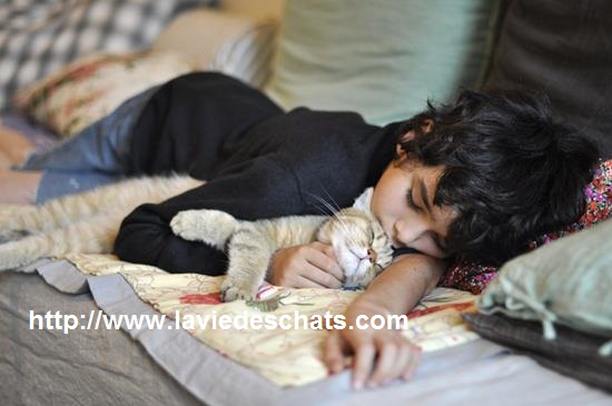 un chat et un enfant en sieste