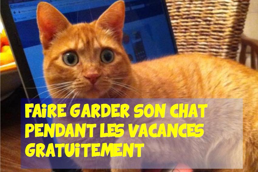 faire garder son chat pendant les vacances