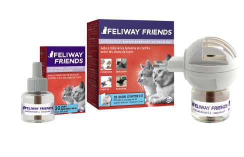 feliway friends