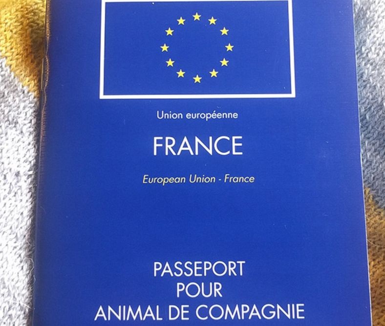 passeport pour chat