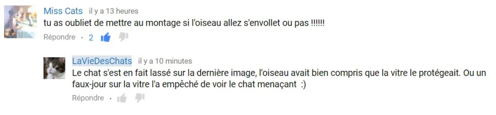 commentaire youtube sur laVieDesChats.com