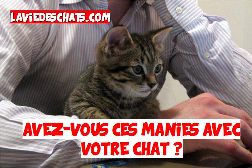 manies avec nos chats