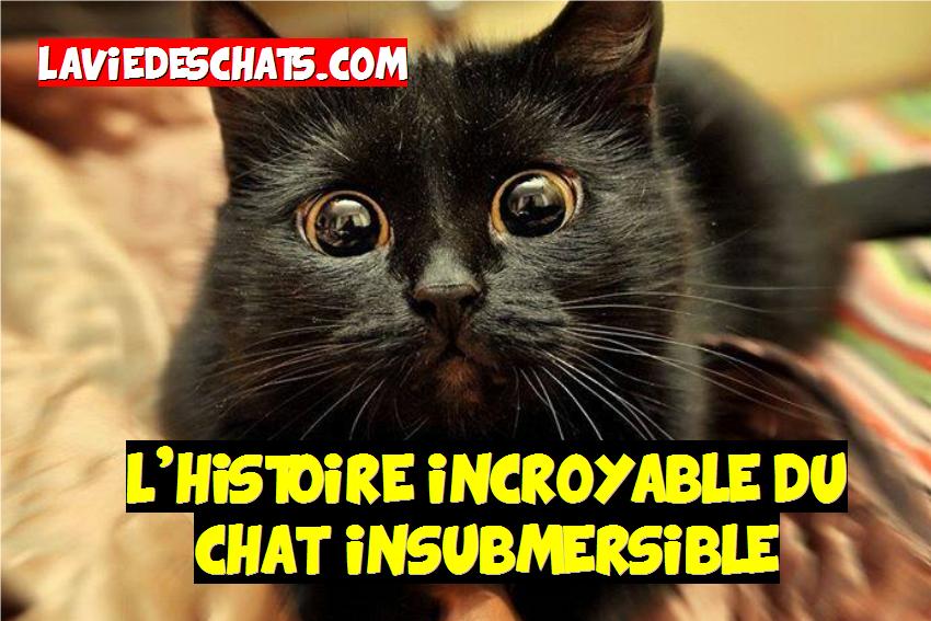 l'histoire du chat insubmersible