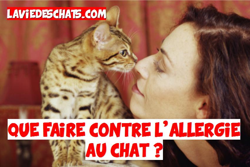 que faire contre l'allergie au chat