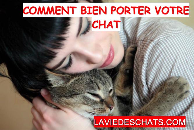 Comment bien porter un chat