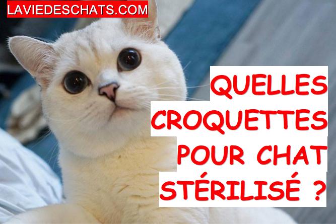 croquettes pour chat stérilisé