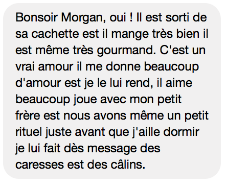 chat se cache message