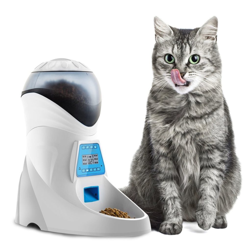 distributeur automatique pour chat glouton