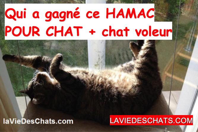 hamac pour chat gagne