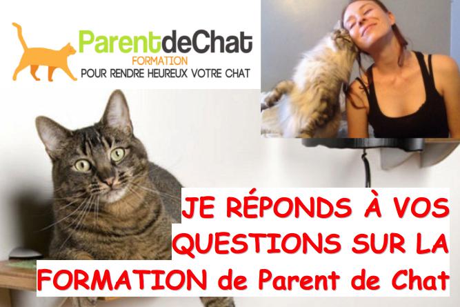 je réponds a vos questions sur la Formation