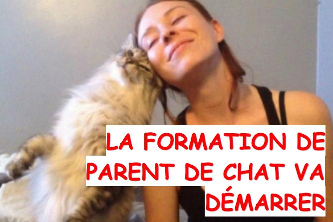 formation parent de chat ouvre