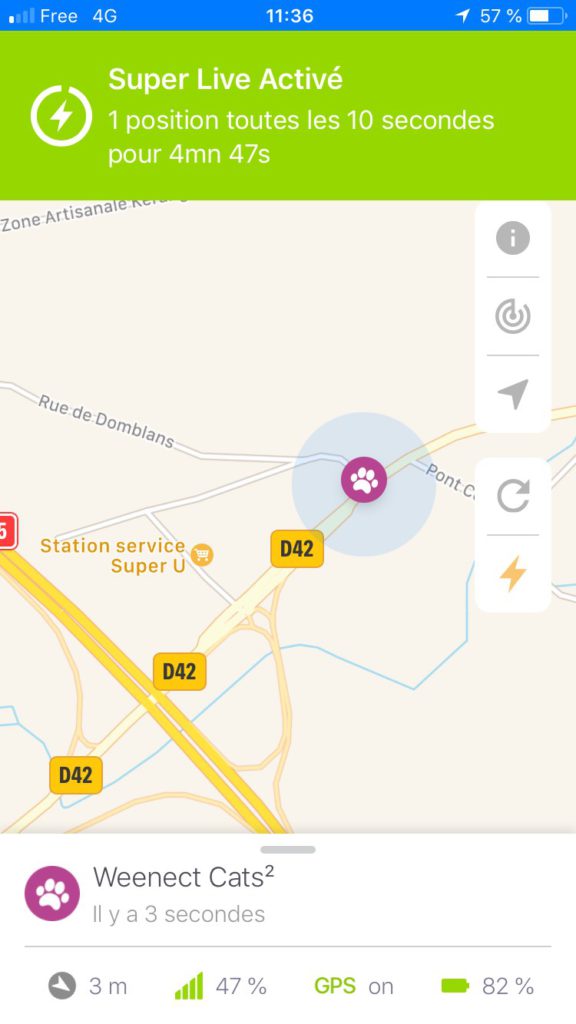 J Ai Teste Le Traceur Gps Pour Chat La Vie Des Chats J Ai Teste Le Traceur Gps Pour Chat La Vie Des Chats