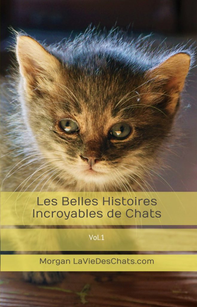 Belles Histoires Incroyables de chats COUVERTURE