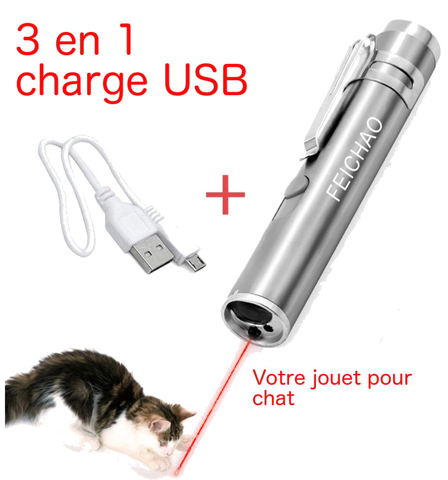 premier des cadeaux pour chat