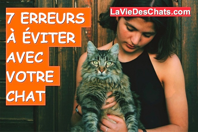 7 erreurs à éviter avec votre chat