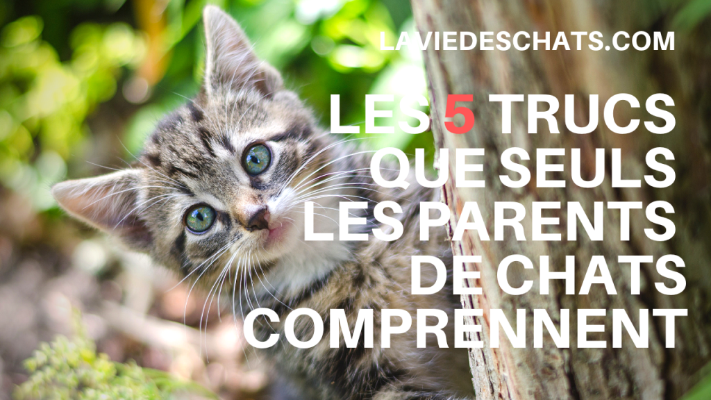 5 trucs que les parents comprennent