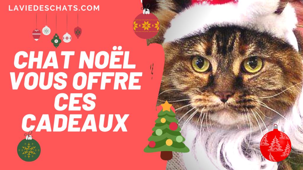 Chat Noel vous offre ces cadeaux