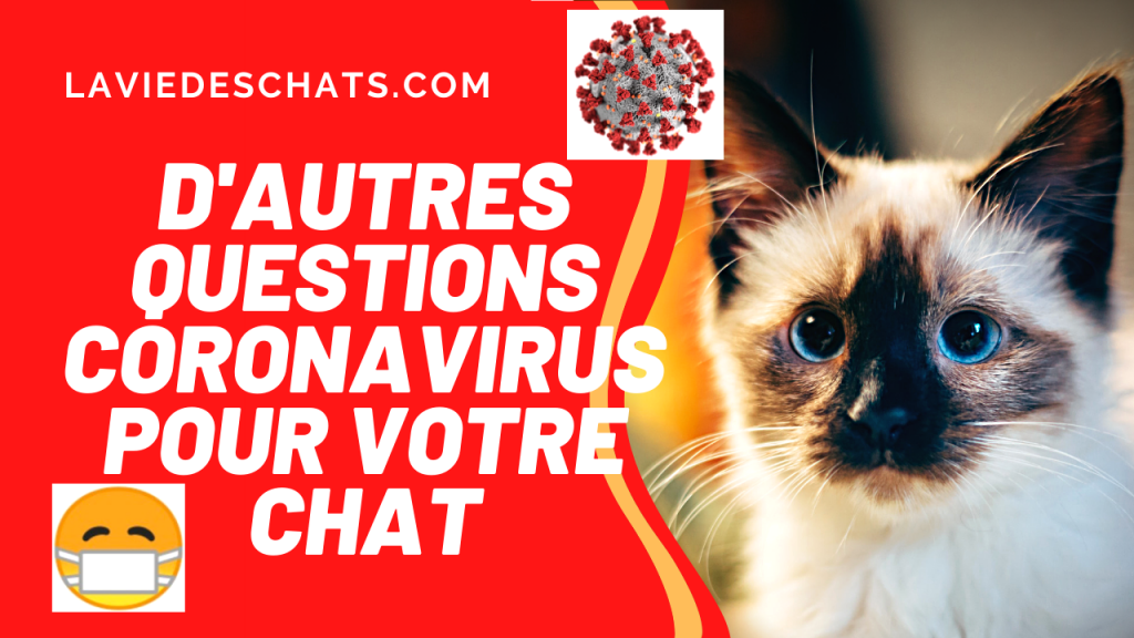 d'autres questions coronavirus