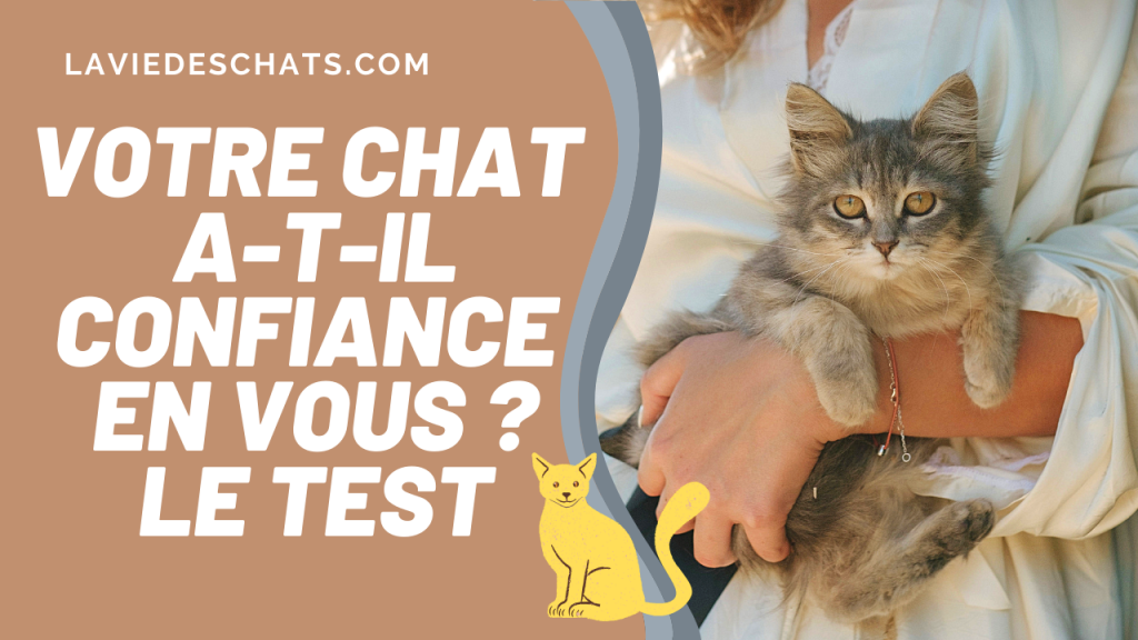 chat a confiance le test