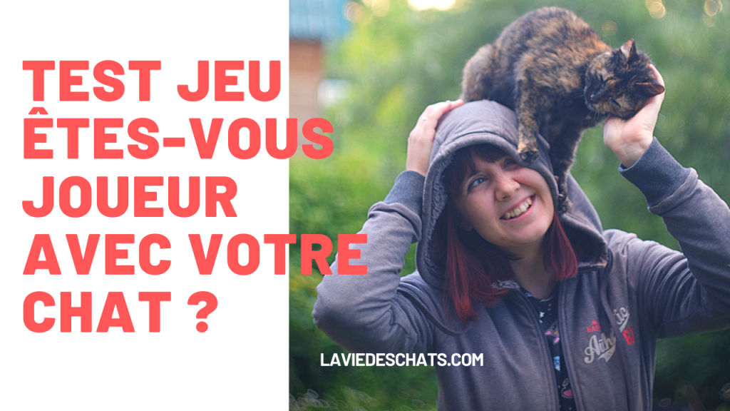 Test Jeu avec votre chat