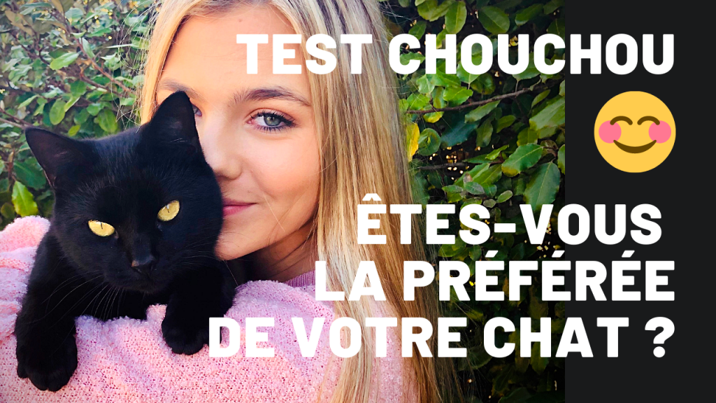 la préférée de votre chat - test chouchou