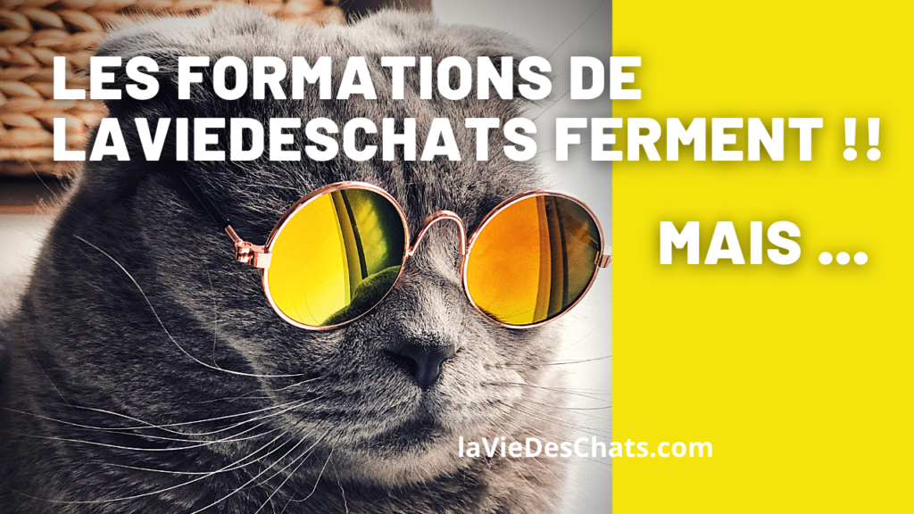 formations de laviedeschats ferment