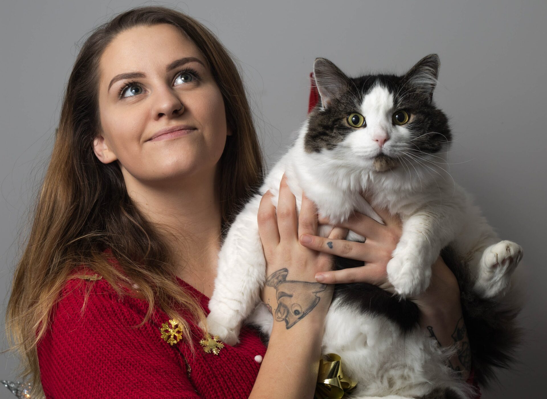 Methode Stop Mon Chat Me Reveille La Nuit Methode Stop Mon Chat Me Reveille La Nuit