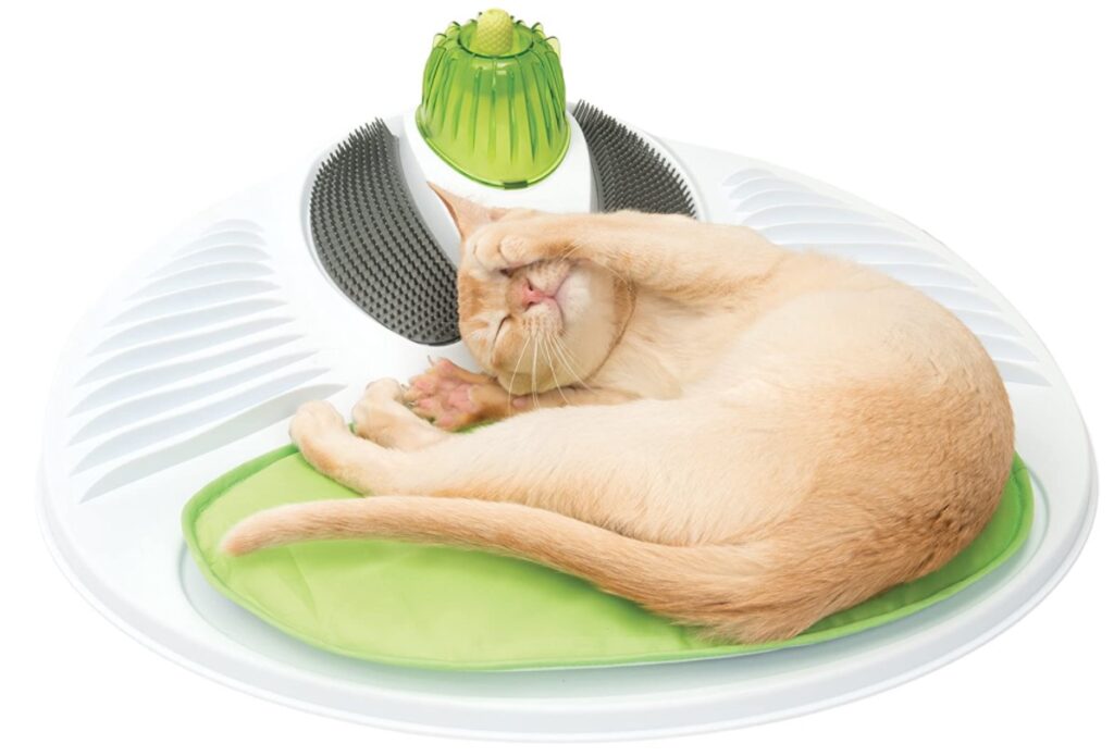 station massage pour chat