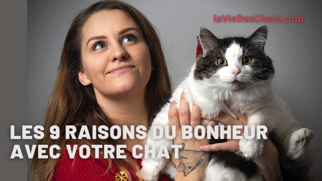 Les 9 raisons du bonheur avec votre chat