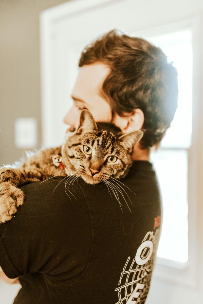 beau chat tigré sur l'épaule de papa chat