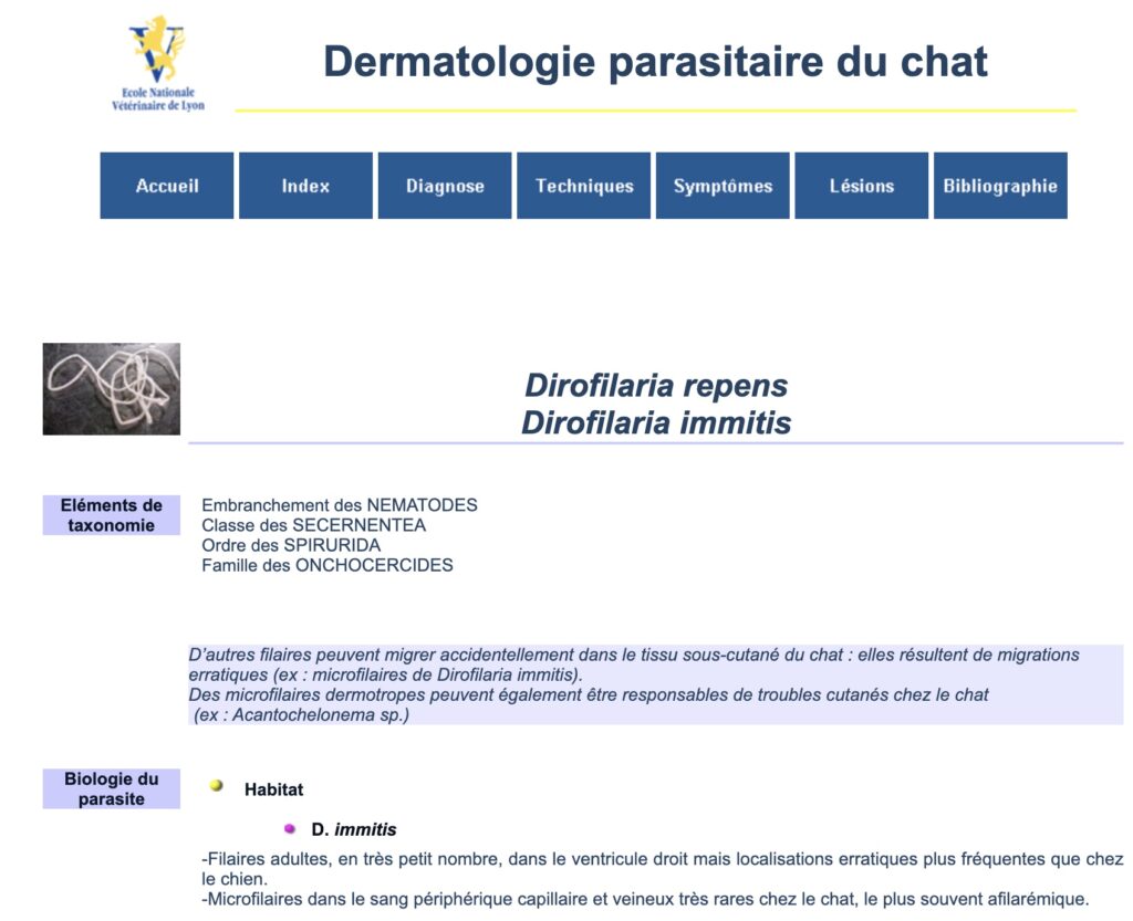 Dirofilaria immitis - Ecole Nationale Vétérinaire de Lyon