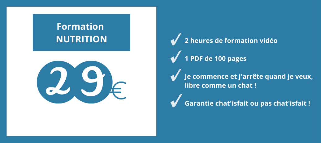 formation alimentation 29