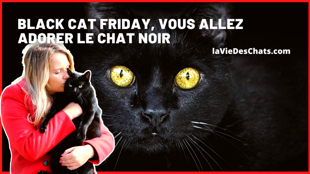 Black Cat Friday le chat noir