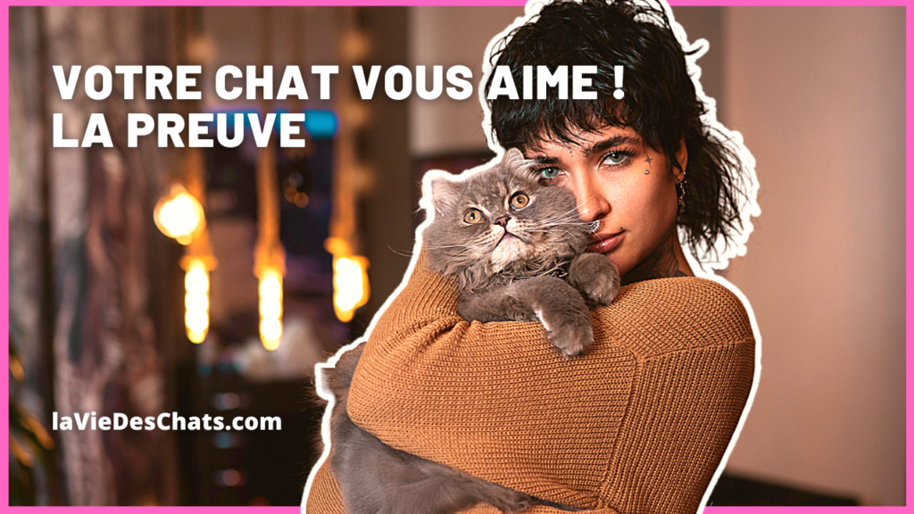 votre chat vous aime, la preuve