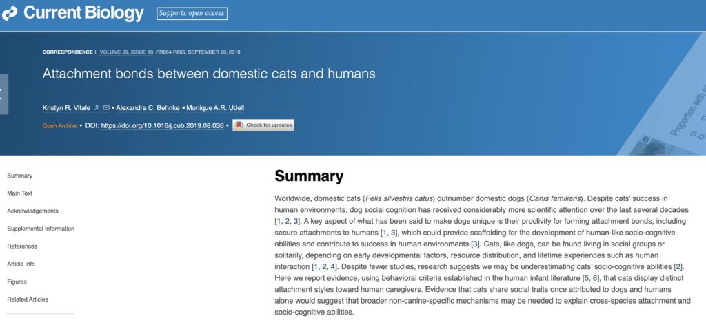 votre chat vous aime. L'étude scientifique