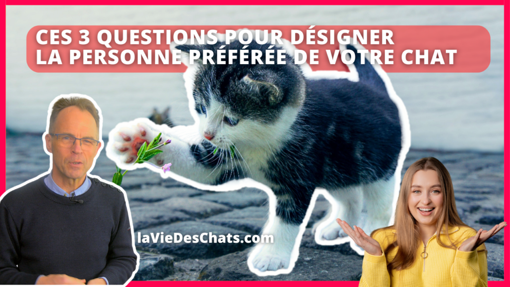 3 questions pour désigner la personne préférée de votre chat